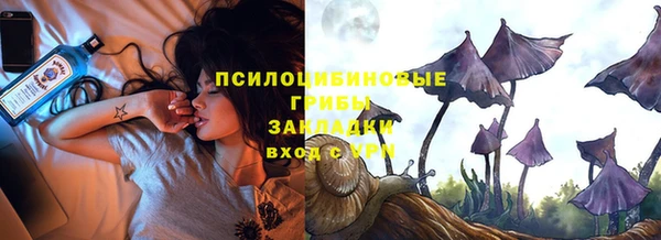 дурь Арсеньев