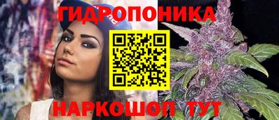 стафф Волжск