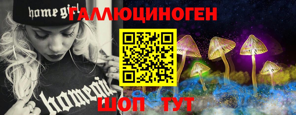 Галлюциногенные грибы Psilocybine cubensis Ногинск