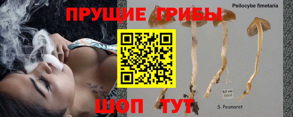 Ногинск  Псилоцибиновые грибы Cubensis  Псилоцибиновые грибы Cubensis  Вход с VPN 