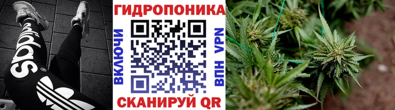 Канабис семена Ногинск